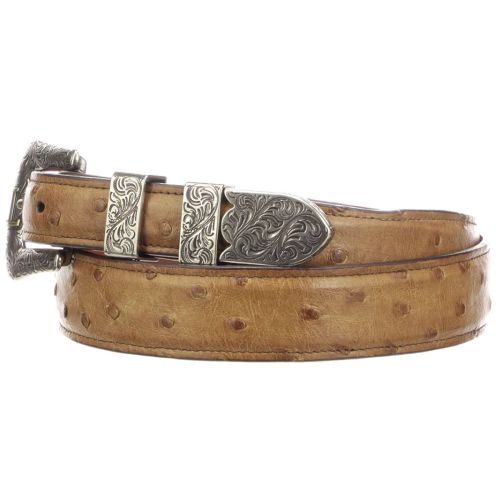 Zambezi Grace Men's Hornback Crocodile Belt, Espresso, Men's, 39, Belts Alligator Crocodile & Snakeskin Belts