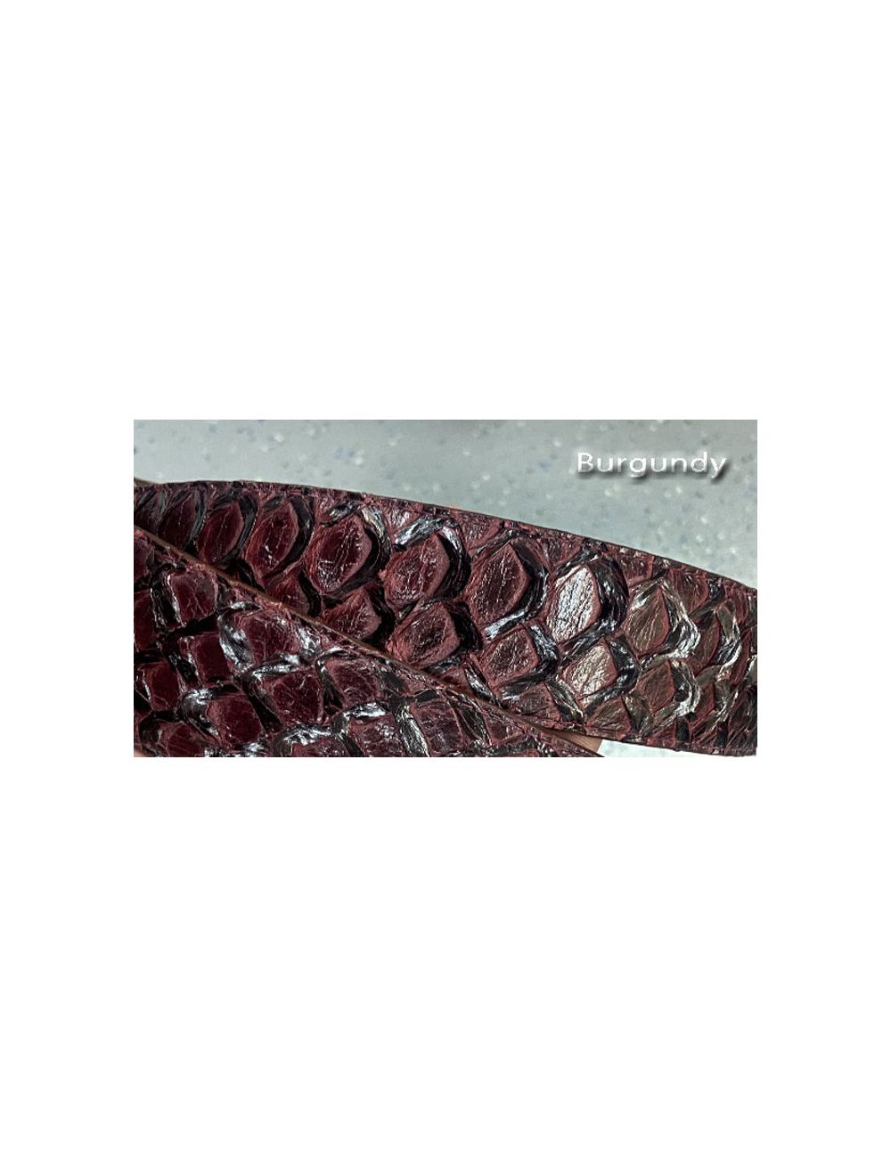 Pirarucu fish belt online