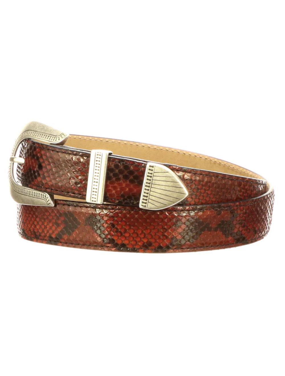 Diligencia Python Orix Brown - Accessories Belt Men - Python Orix Brown - 36